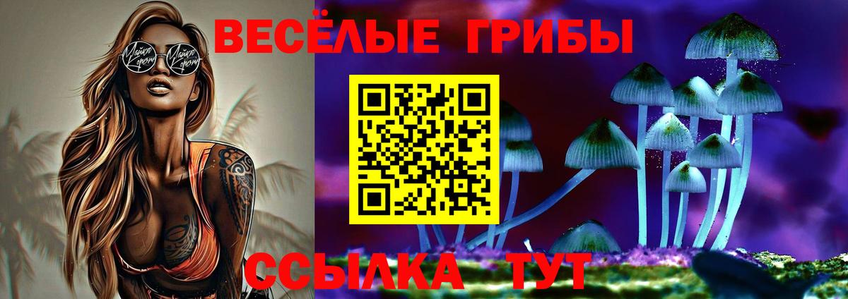 Галлюциногенные грибы GOLDEN TEACHER  Вход с VPN  Псилоцибиновые грибы Magic Shrooms  Артёмовский 